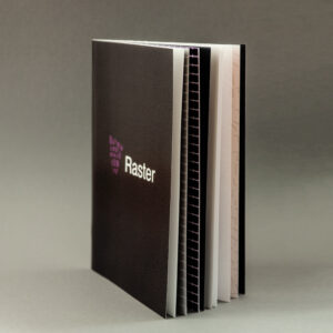 Raster